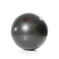 Gymstick Burst Resistant Gymbal - Fitnessbal - Met Online Trainingsvideo's - 75 cm - Hoofdafbeelding