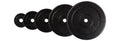 VirtuFit Gietijzeren Halterschijven Set - 90 kg - Hoofdafbeelding