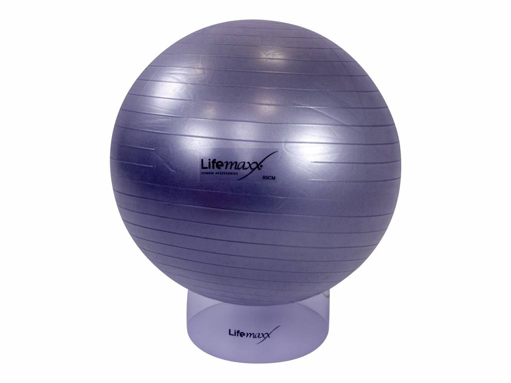 Lifemaxx Balschaal - Gymbal Houder - Fitnessbal Houder - Aanzicht