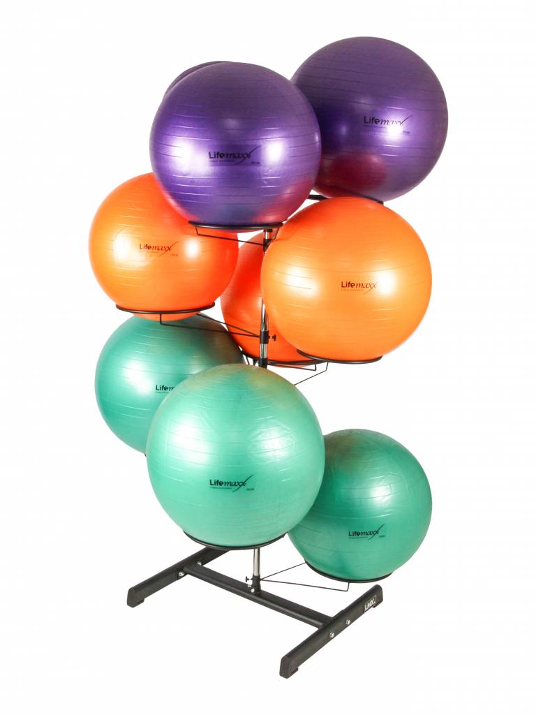 Lifemaxx Opbergrek voor Gymballen & Fitnessballen - 9 stuks - Aanzicht