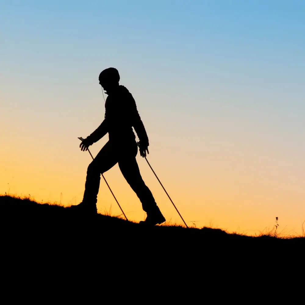 Toorx Fitness Nordic Walking Stokken - Afbeelding 6