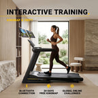 Flow Fitness DTM2500i